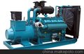 帕欧柴油发电机 450kw柴油发电机厂家 江苏德丰