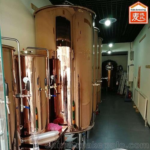 麥德氏啤酒設(shè)備之奇葩啤酒圖片