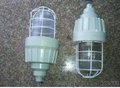 CCD61隔爆型防爆灯