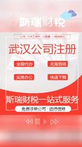 武漢公司注冊-斯瑞財稅注冊公司-全體貼心代辦