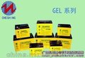 供应拉萨UPS用12V100AH蓄电池价格