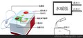 新款高效取暖喜创普通水暖毯