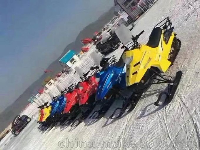 廠家直銷雪地摩托車 成人娛樂(lè)雪地摩托圖片