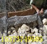 广东河道标段治理格宾网@山洪自然灾害预防石笼网安平鑫隆