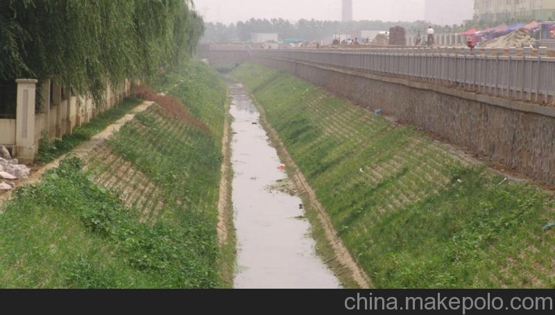 建材与装饰材料 砖,瓦,砌块 护坡砖 售科腾联锁式护坡生态护坡水工砖