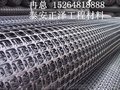 31KN双向土工格栅