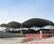 轻钢大棚价格_合肥宏建(在线咨询)
