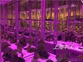 植物种植间施工注意事项