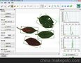 QT-LS02植物叶分析系统