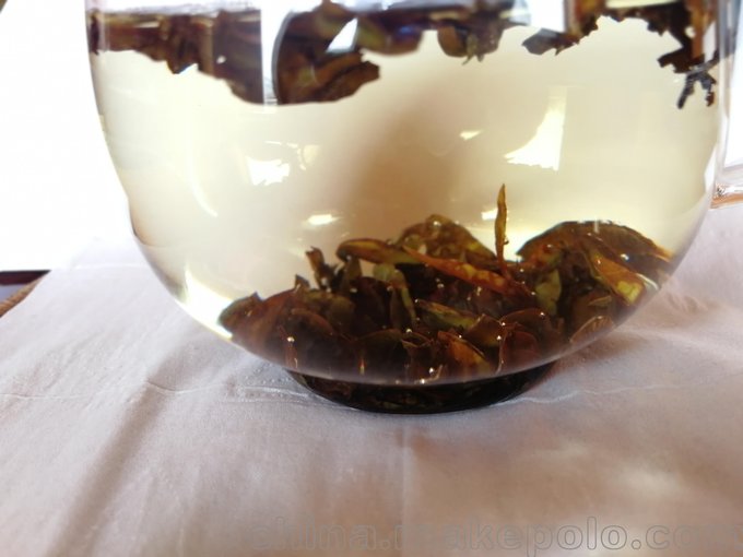 余慶小葉苦丁茶 深度發(fā)酵紅茶圖片
