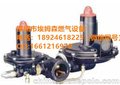 TARTARINI B249减压阀A109调压器B249调压阀备件包维修