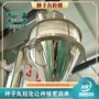 大型种子丸粒生产线 自动种子丸粒机 生菜种子丸粒化