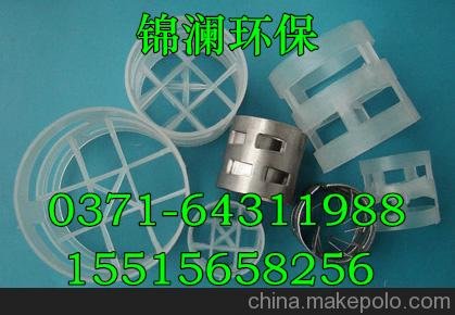 優(yōu)質(zhì)鮑爾環(huán)填料圖片