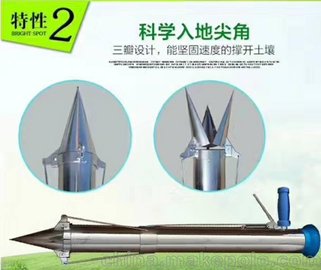 ֲ߲綨ֲ  ֲ˻