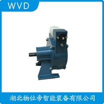LLY1-2_P(gun) WVD