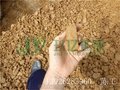 厂家直销洗砂泥浆压滤设备