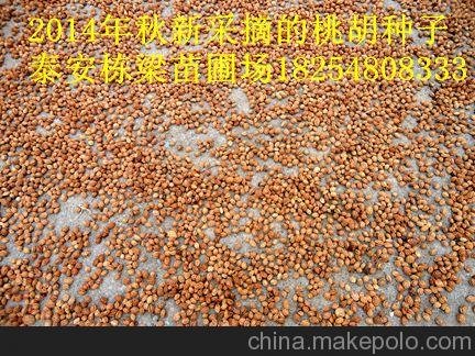 劍川縣錦繡黃桃基地 桃樹苗價格圖片