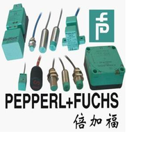 P+FNMB5-12GM65-E0-V1g(sh)֧,Y