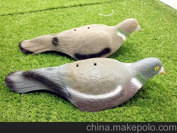熱銷戶外打獵用品半片誘餌鴿子圖片