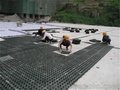 排水板厂家、莱芜排水板、盈旭土工(在线咨询)