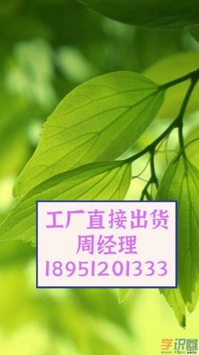 磺基丙基交聯(lián)葡聚糖凝膠C-25SP- 葡聚糖凝膠C-25圖片