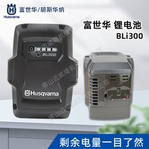 A늳BLi300늄(dng)ͨ늳䏸֦