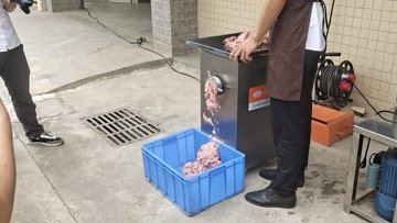 商用小型电动绞肉机绞肉效果