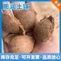 浙江厂家直供 膨润土球 钠基钙基膨润土 粘土球