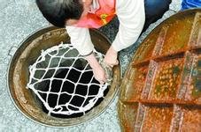 易佰窨井防墜網(wǎng)綠色井蓋網(wǎng)價格圖片