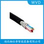 BXS16-DB303投入式壓力式液位計(jì) WVD