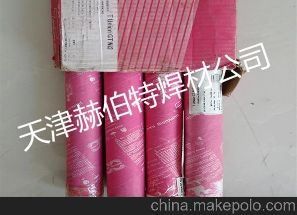 德國蒂森THERM-ANITMTS4焊條圖片