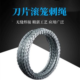 金屬刀片刺網(wǎng) 滾籠機場防護網(wǎng) 防腐蝕帶刺鐵線