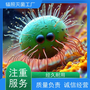 警惕微生物超标，掌握消毒灭菌实用新方法