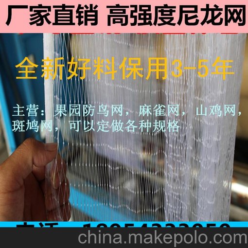 供應(yīng) 華瑞 果園防鳥網(wǎng)/果樹防鳥網(wǎng)圖片
