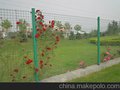 山东菏泽笨鸡苗养殖铁丝围网批发