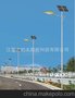 长治太阳能路灯灯杆 led道路照明灯具 质保五年