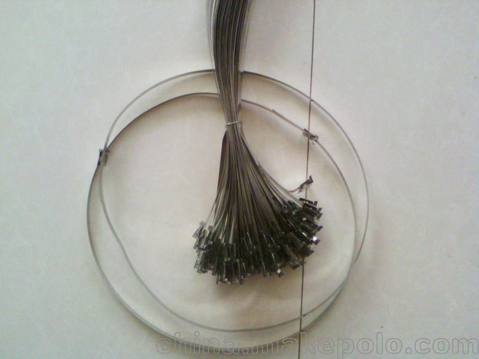 河南供應(yīng)大量不銹鋼緊固件 電線桿專用抱箍喉箍卡箍批發(fā)圖片