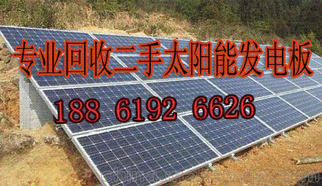 張家口單晶電池片回收綠色環(huán)保能源圖片