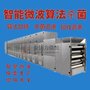 核桃仁微波杀菌设备  果仁微波低温烘焙机 金佰力 厂家直供