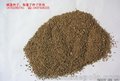 碱蓬 盐蒿蔬菜 绿色无公害餐饮食材碱蒿长寿菜黄须菜