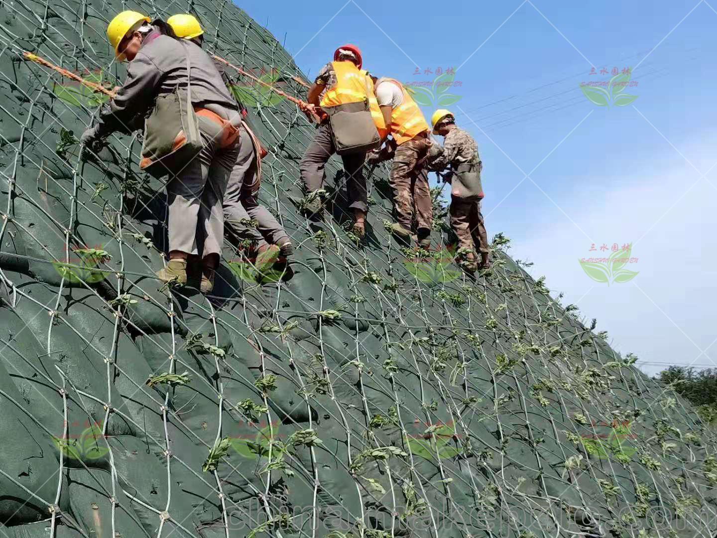 河源荒山植草复绿植生袋绿化护坡施工